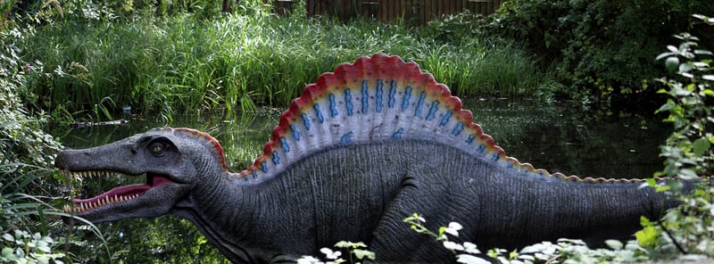 Dinosaur Safari
